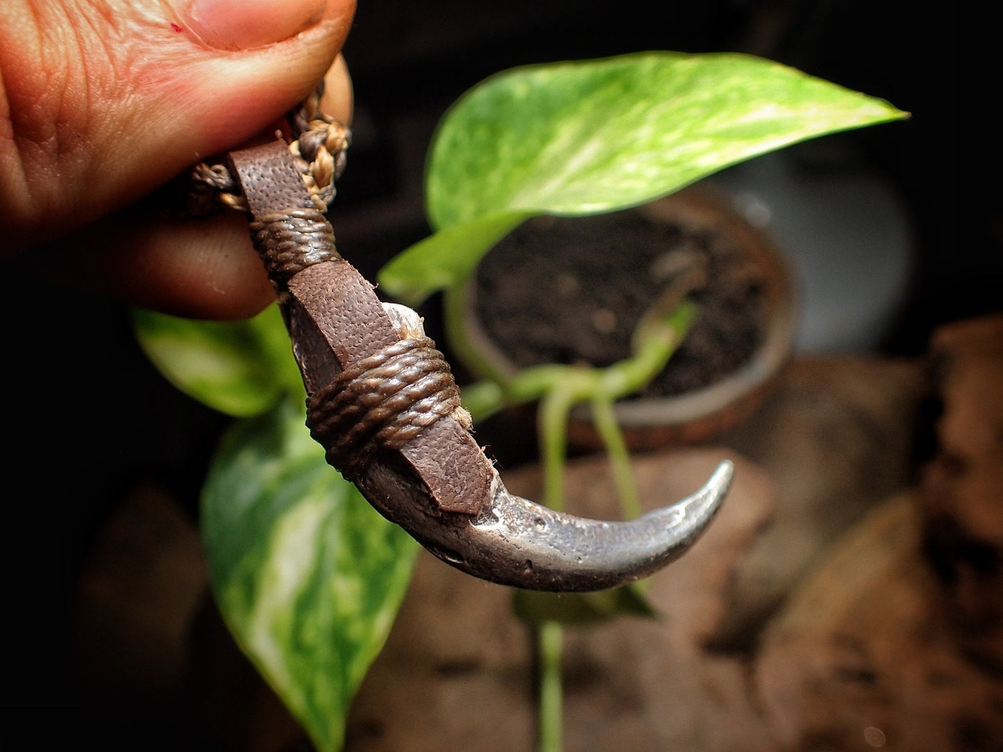 Silver Wedge Tailed Eagle Talon Pendant with Adjustable Hand Woven Style Necklace