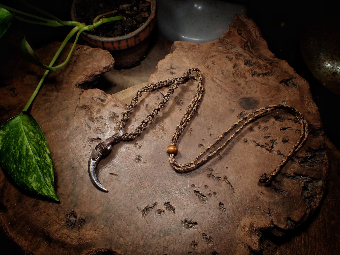 Silver Wedge Tailed Eagle Talon Pendant with Adjustable Hand Woven Style Necklace