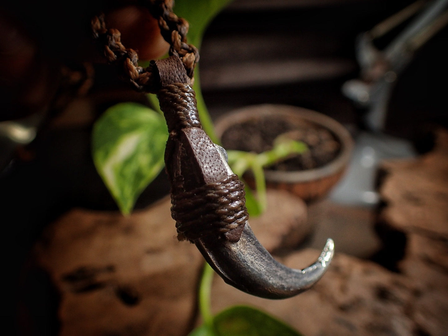 Silver Wedge Tailed Eagle Talon Pendant with Adjustable Hand Woven Style Necklace