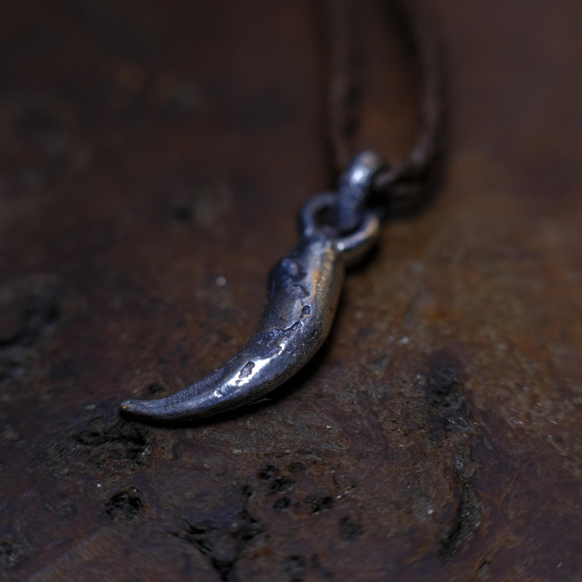 Silver Wedge Tailed Eagle Talon Small Pendant with Adjustable Hand Woven Style Necklace