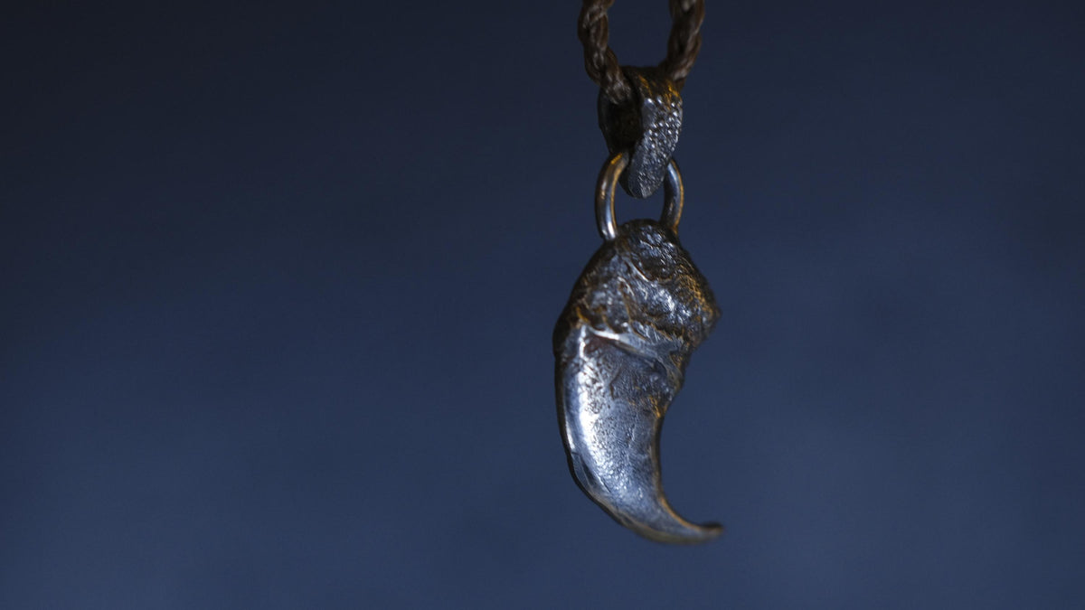 Lions Claw Talisman Pendant in Sterling Silver with Adjustable Hand Woven Necklace