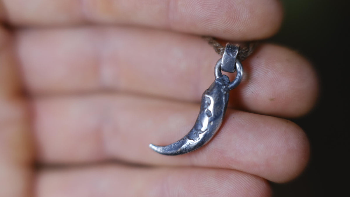 Small Eagle Talon Talisman Pendant in Sterling Silver on Adjustable Cord