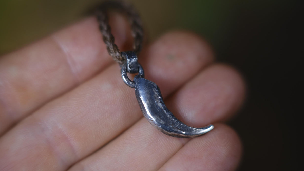 Small Eagle Talon Talisman Pendant in Sterling Silver on Adjustable Cord