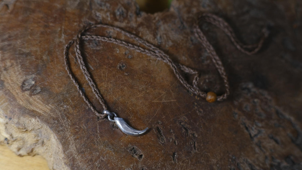 Small Eagle Talon Talisman Pendant in Sterling Silver on Adjustable Cord