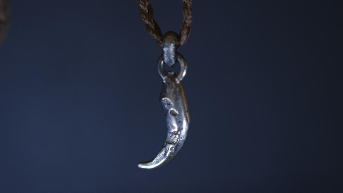 Small Eagle Talon Talisman Pendant in Sterling Silver on Adjustable Cord