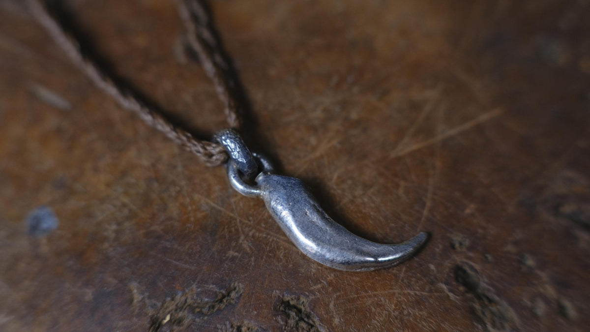 Small Eagle Talon Talisman Pendant in Sterling Silver on Adjustable Cord