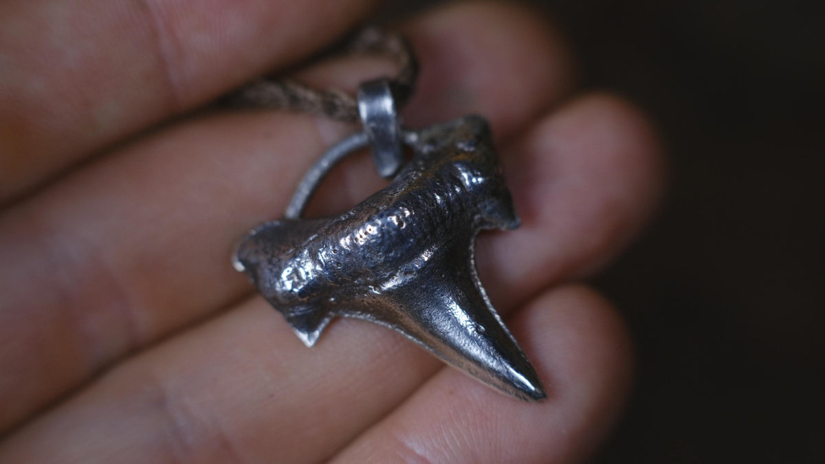 Sterling Silver Shark Tooth Pendant on Adjustable Cord Necklace