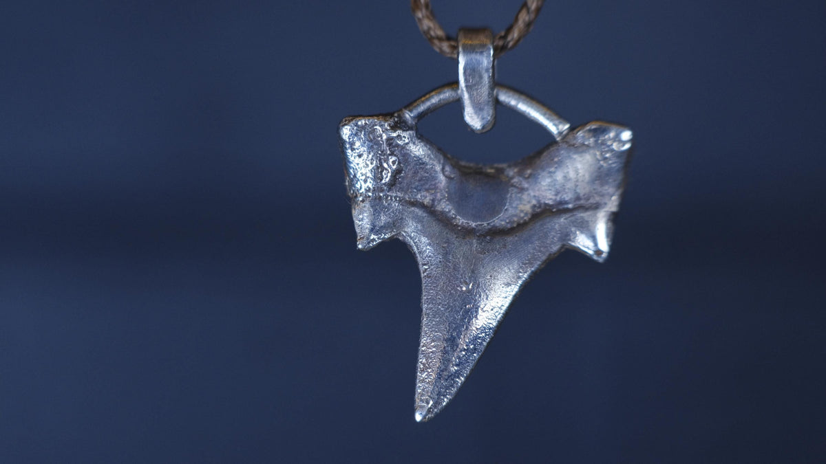 Sterling Silver Shark Tooth Pendant on Adjustable Cord Necklace