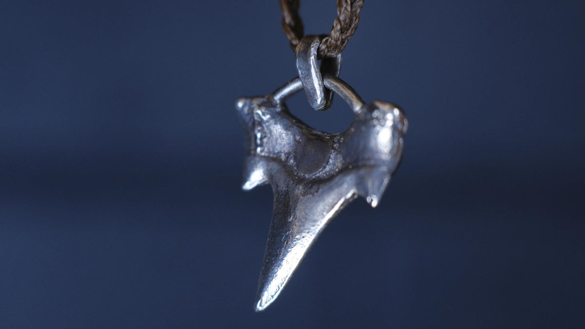 Sterling Silver Shark Tooth Pendant on Adjustable Cord Necklace