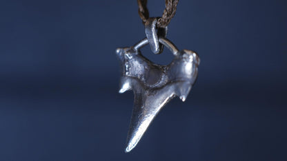 Sterling silver shark tooth talisman cast from a genuine fossil tooth on adjustable cord