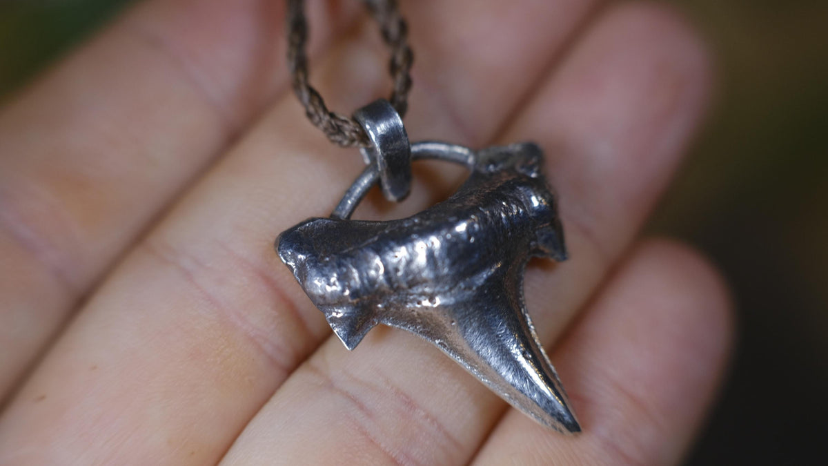 Sterling Silver Shark Tooth Pendant on Adjustable Cord Necklace
