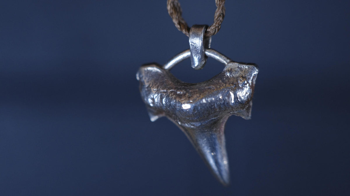 Sterling Silver Shark Tooth Pendant on Adjustable Cord Necklace