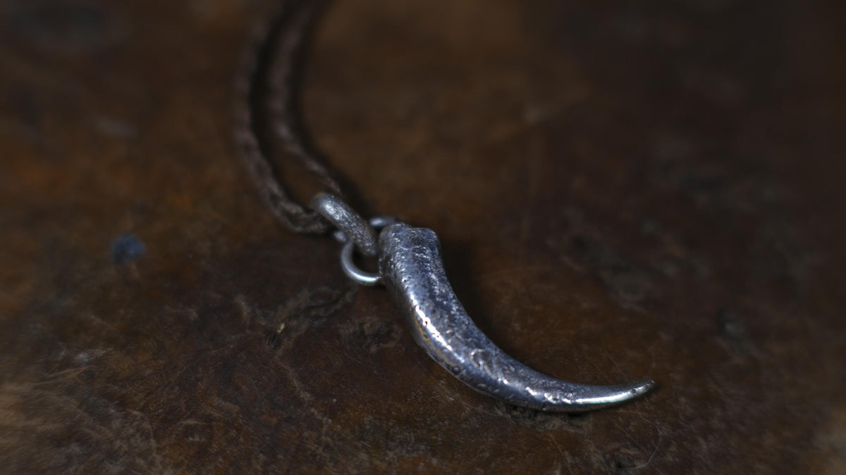 Eagle Talon Talisman Pendant in Sterling Silver on Adjustable Cord