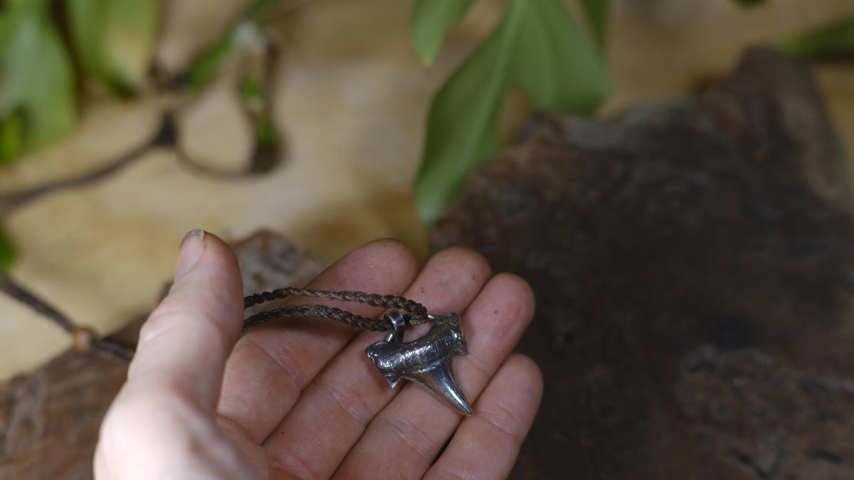 Sterling Silver Shark Tooth Pendant on Adjustable Cord Necklace