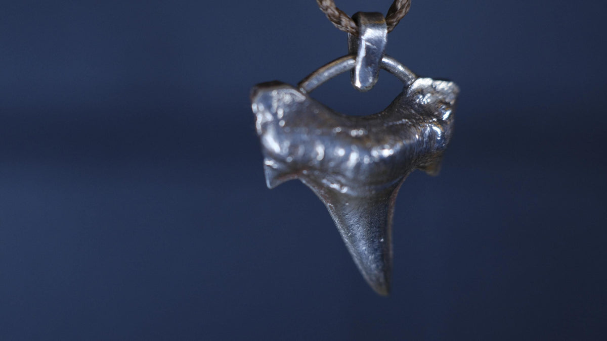 Sterling Silver Shark Tooth Pendant on Adjustable Cord Necklace