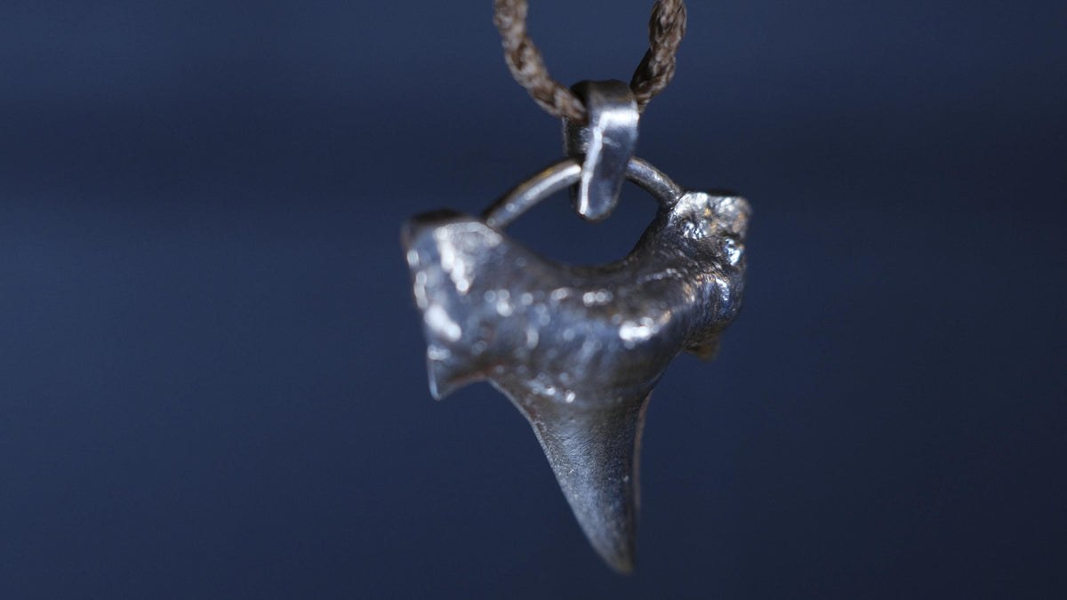 Sterling Silver Shark Tooth Pendant on Adjustable Cord Necklace