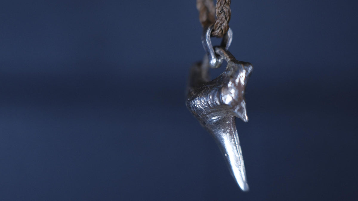 Sterling Silver Shark Tooth Pendant on Adjustable Cord Necklace