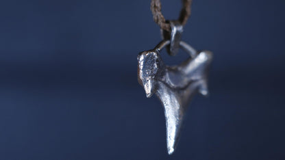 Sterling silver shark tooth talisman cast from a genuine fossil tooth on adjustable cord