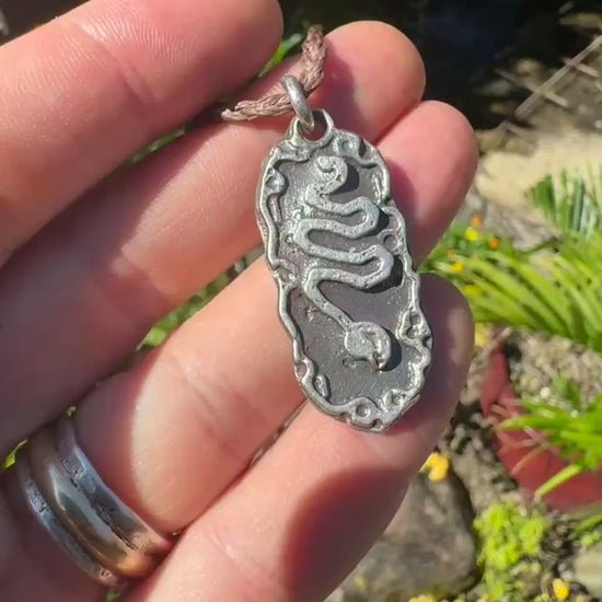Serpentine Talisman Pendant in Sterling Silver on Adjustable Cord
